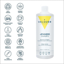 Cargar imagen en el visor de la galería, Champú Jengibre Ginger Strong - Anticaspa Revitalizante