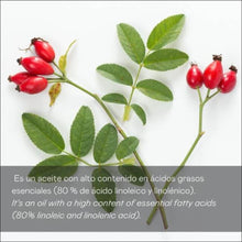 Cargar imagen en el visor de la galería, Sérum aceite rosa mosqueta 100% puro - 30 ml - 30 ml